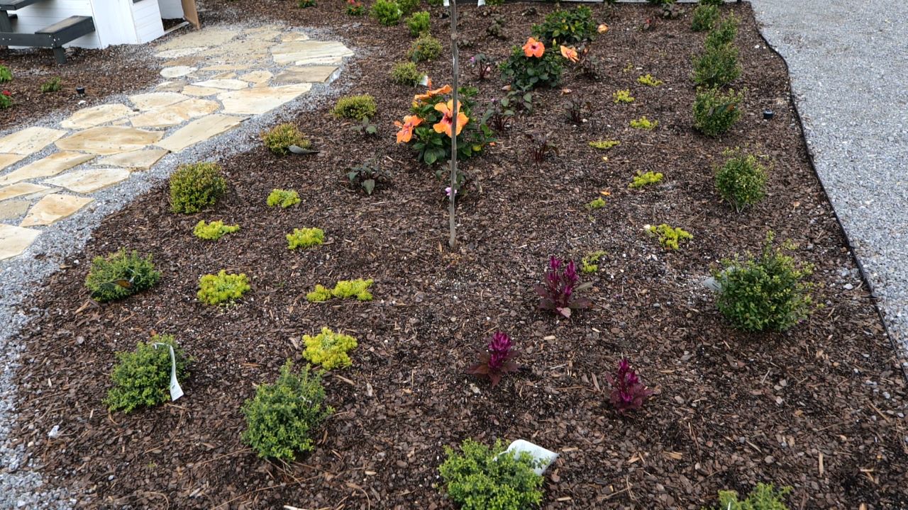 Get It Growing: Creating your own sustainable landscapes